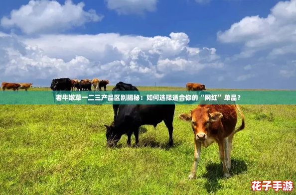 老牛嫩草一二三产品区别揭秘：如何选择适合你的“网红”单品？