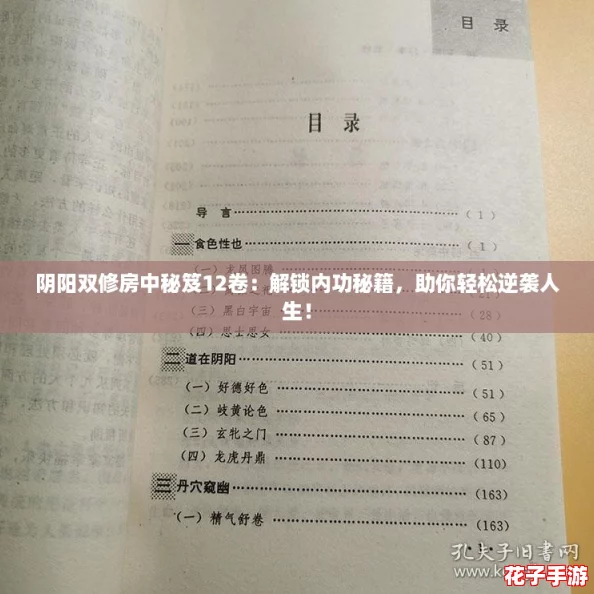阴阳双修房中秘笈12卷：解锁内功秘籍，助你轻松逆袭人生！