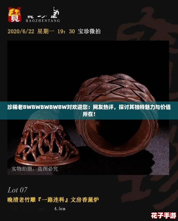 珍稀老BWBWBWBWBW对欢迎您：网友热评，探讨其独特魅力与价值所在！