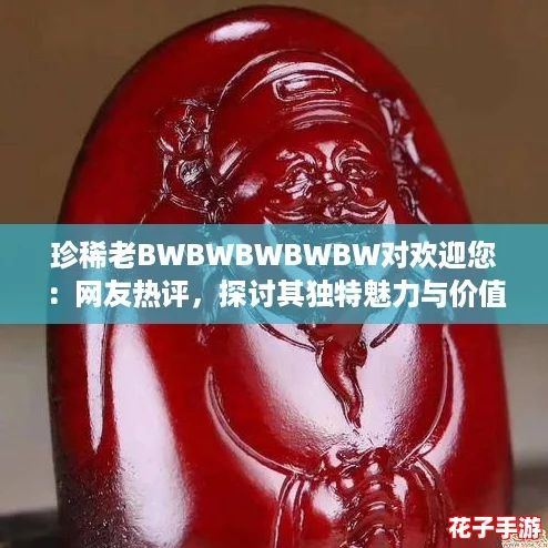 珍稀老BWBWBWBWBW对欢迎您：网友热评，探讨其独特魅力与价值所在！