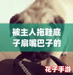 被主人拖鞋底子扇嘴巴子的网友评语：这种惩罚方式真是太极端了，难以接受！
