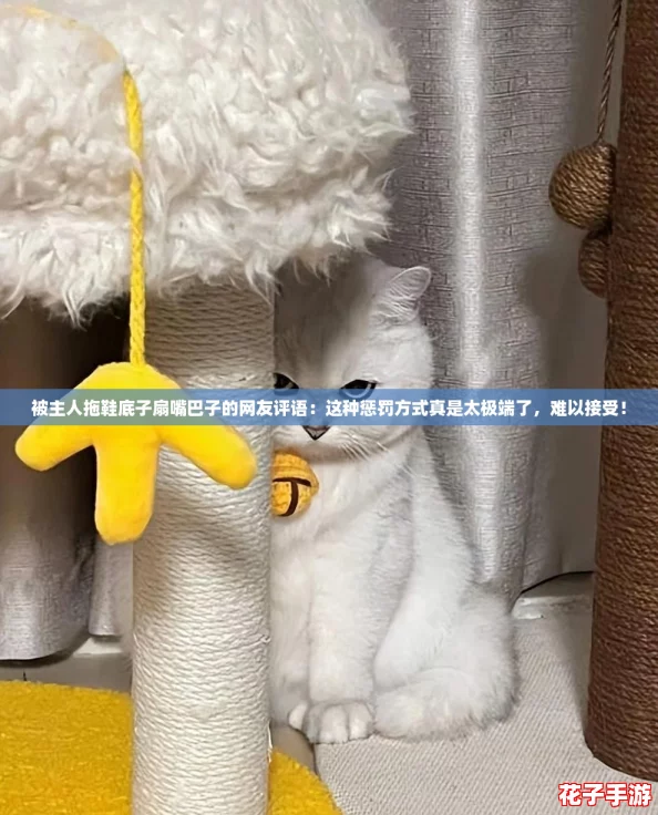 被主人拖鞋底子扇嘴巴子的网友评语:这种惩罚方式真是太极端了,难以接受! 被主人拖鞋底子扇嘴巴子的网友评语:这种惩罚方式真是太极端了,难以接受!