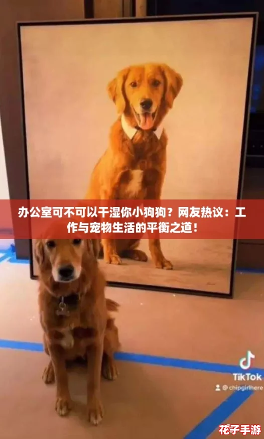 办公室可不可以干湿你小狗狗？网友热议：工作与宠物生活的平衡之道！