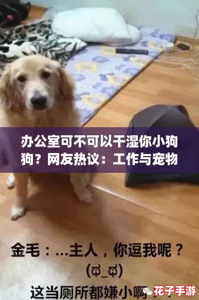 办公室可不可以干湿你小狗狗?网友热议:工作与宠物生活的平衡之道! 办公室可不可以干湿你小狗狗?网友热议:工作与宠物生活的平衡之道!