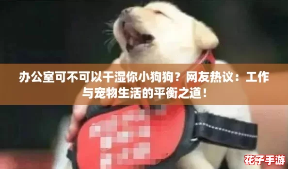 办公室可不可以干湿你小狗狗?网友热议:工作与宠物生活的平衡之道! 办公室可不可以干湿你小狗狗?网友热议:工作与宠物生活的平衡之道!