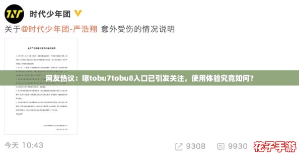 网友热议：曝tobu7tobu8入口已引发关注，使用体验究竟如何？