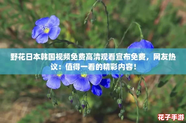 野花日本韩国视频免费高清观看宣布免费，网友热议：值得一看的精彩内容！