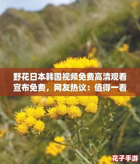 野花日本韩国视频免费高清观看宣布免费,网友热议:值得一看的精彩内容! 野花日本韩国视频免费高清观看宣布免费,网友热议:值得一看的精彩内容!