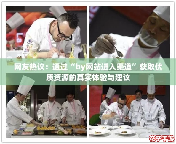 网友热议：通过“by网站进入渠道”获取优质资源的真实体验与建议