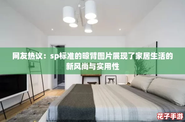 网友热议：sp标准的晾臂图片展现了家居生活的新风尚与实用性