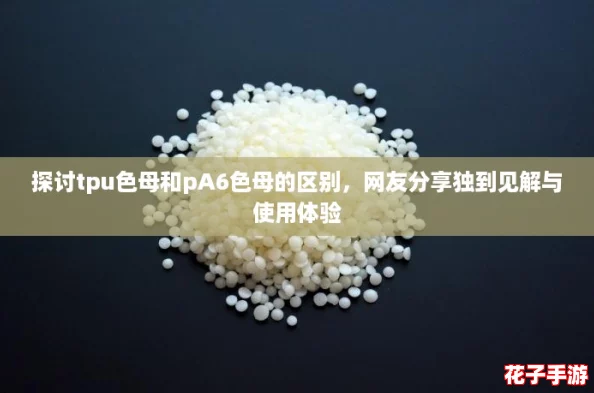 探讨tpu色母和pA6色母的区别，网友分享独到见解与使用体验