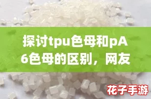 探讨tpu色母和pA6色母的区别,网友分享独到见解与使用体验 探讨tpu色母和pA6色母的区别,网友分享独到见解与使用体验