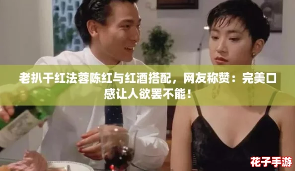 老扒干红法蓉陈红与红酒搭配，网友称赞：完美口感让人欲罢不能！