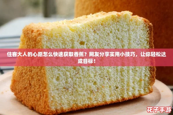 住客大人的心愿怎么快速获取香蕉？网友分享实用小技巧，让你轻松达成目标！
