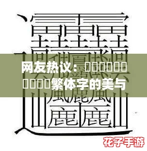 网友热议：齉龘齉齾爩麤龖厵纞虋繁体字的美与复杂，真是让人叹为观止！