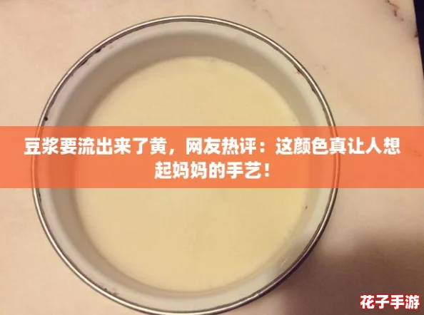 豆浆要流出来了黄，网友热评：这颜色真让人想起妈妈的手艺！