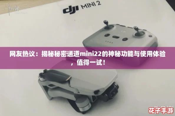 网友热议：揭秘秘密通道mini22的神秘功能与使用体验，值得一试！