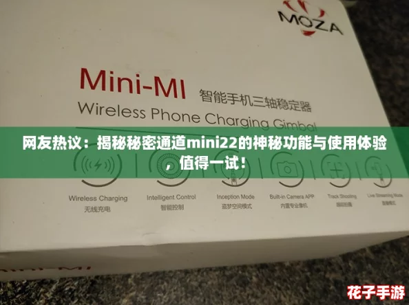 网友热议：揭秘秘密通道mini22的神秘功能与使用体验，值得一试！