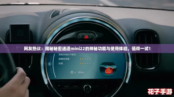 网友热议：揭秘秘密通道mini22的神秘功能与使用体验，值得一试！