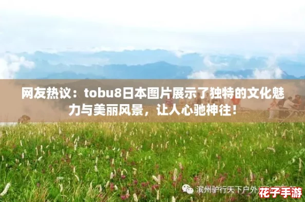网友热议：tobu8日本图片展示了独特的文化魅力与美丽风景，让人心驰神往！