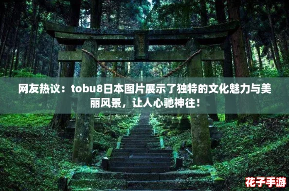 网友热议：tobu8日本图片展示了独特的文化魅力与美丽风景，让人心驰神往！