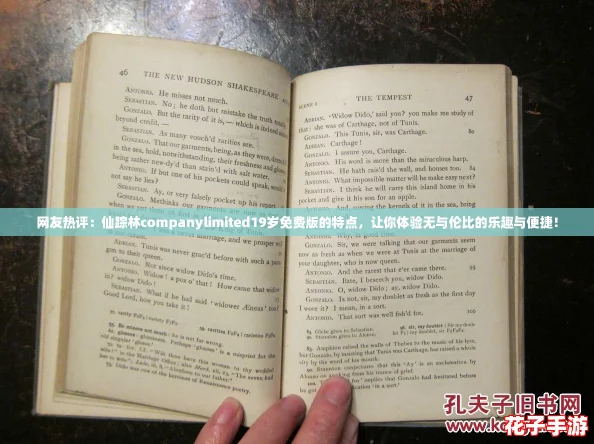 网友热评：仙踪林companylimited19岁免费版的特点，让你体验无与伦比的乐趣与便捷！