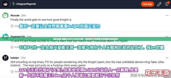组队指南-美国ZOOM人与ZOOM欧：网友热评分享最佳合作策略与经验总结