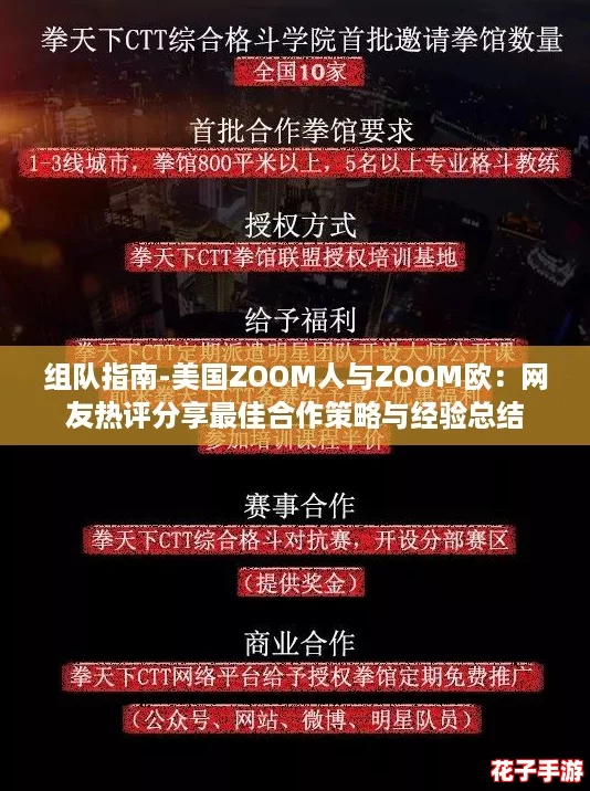 组队指南-美国ZOOM人与ZOOM欧：网友热评分享最佳合作策略与经验总结