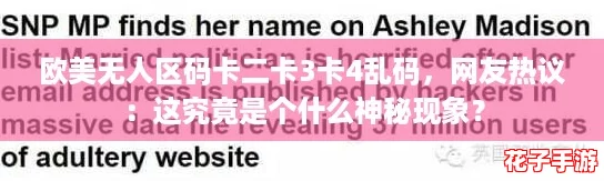 欧美无人区码卡二卡3卡4乱码，网友热议：这究竟是个什么神秘现象？