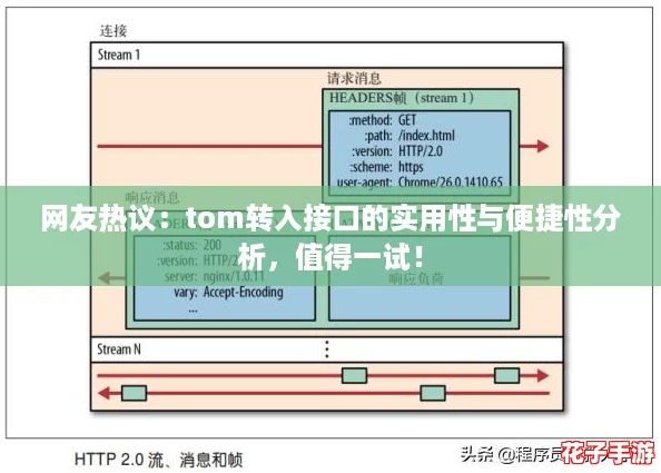 网友热议：tom转入接口的实用性与便捷性分析，值得一试！