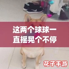 这两个球球一直摇晃个不停，真是让人忍不住想要一探究竟的奇妙现象！