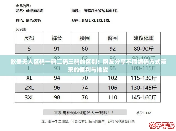 欧美无人区码一码二码三码的区别：网友分享不同编码方式带来的便利与挑战