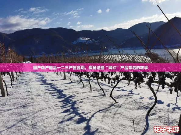国产精产国品一二三产区区别，探秘这些“网红”产品背后的故事