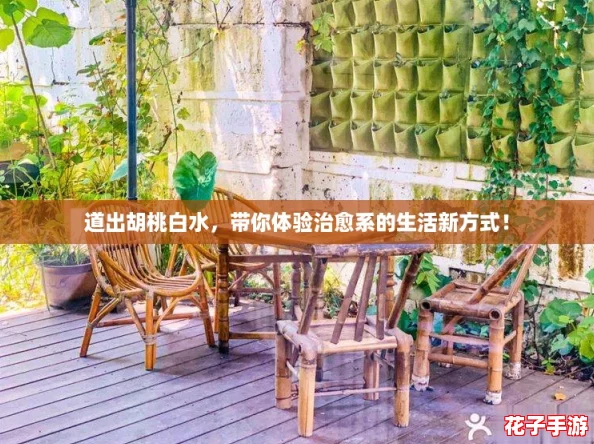 道出胡桃白水，带你体验治愈系的生活新方式！