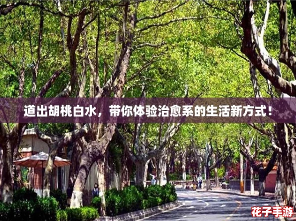 道出胡桃白水，带你体验治愈系的生活新方式！