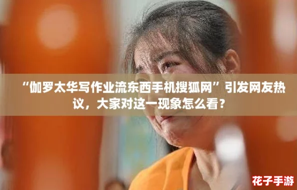 “伽罗太华写作业流东西手机搜狐网”引发网友热议，大家对这一现象怎么看？