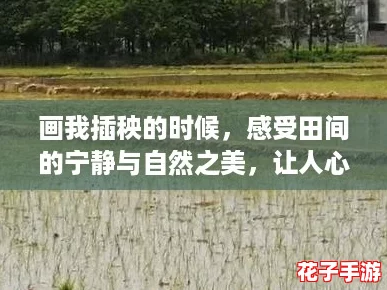 画我插秧的时候，感受田间的宁静与自然之美，让人心灵得到洗涤