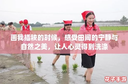 画我插秧的时候,感受田间的宁静与自然之美,让人心灵得到洗涤 画我插秧的时候,感受田间的宁静与自然之美,让人心灵得到洗涤