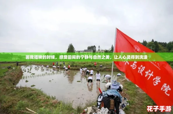 画我插秧的时候,感受田间的宁静与自然之美,让人心灵得到洗涤 画我插秧的时候,感受田间的宁静与自然之美,让人心灵得到洗涤