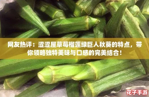 网友热评：涩涩屋草莓榴莲绿巨人秋葵的特点，带你领略独特美味与口感的完美结合！