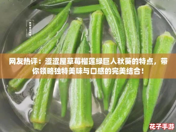 网友热评：涩涩屋草莓榴莲绿巨人秋葵的特点，带你领略独特美味与口感的完美结合！