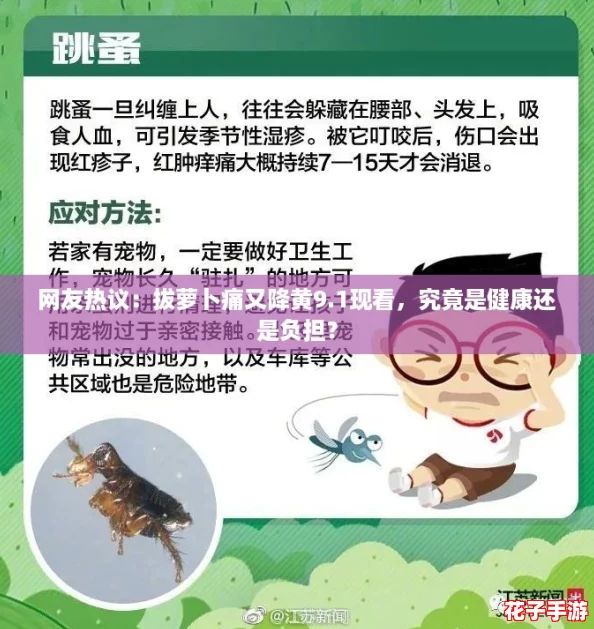 网友热议：拔萝卜痛又降黄9.1现看，究竟是健康还是负担？