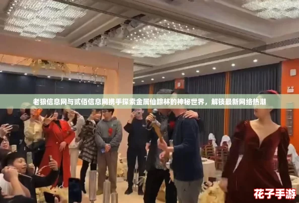 老狼信息网与贰佰信息网携手探索金属仙踪林的神秘世界，解锁最新网络热潮