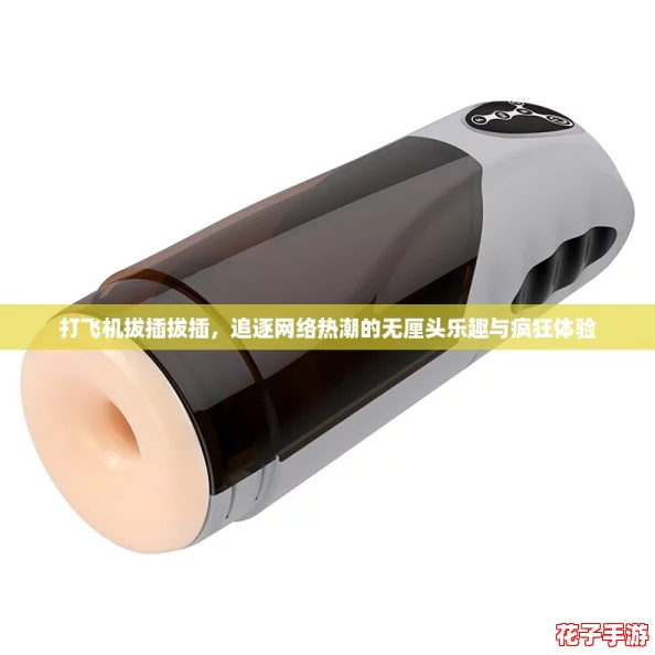打飞机拔插拔插，追逐网络热潮的无厘头乐趣与疯狂体验