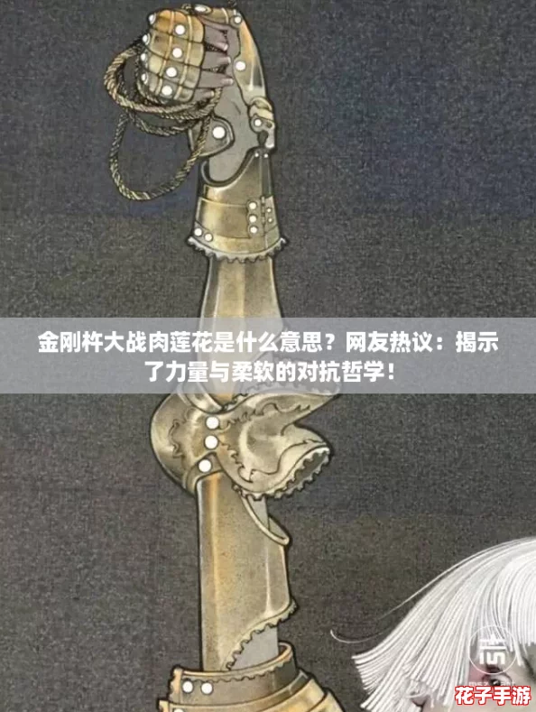 金刚杵大战肉莲花是什么意思？网友热议：揭示了力量与柔软的对抗哲学！