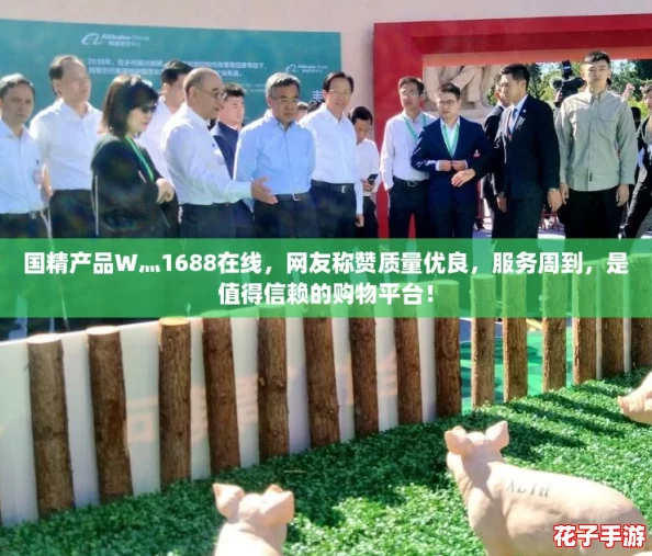 国精产品W灬1688在线，网友称赞质量优良，服务周到，是值得信赖的购物平台！