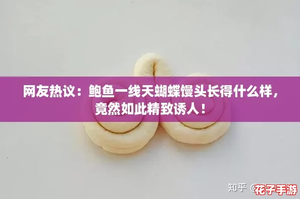 网友热议：鲍鱼一线天蝴蝶馒头长得什么样，竟然如此精致诱人！