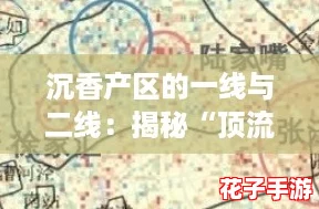 沉香产区的一线与二线：揭秘“顶流”与“潜力股”的市场格局