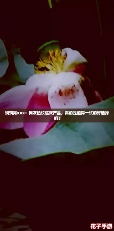 蝌蚪窝xxx：网友热议这款产品，真的是值得一试的好选择吗？