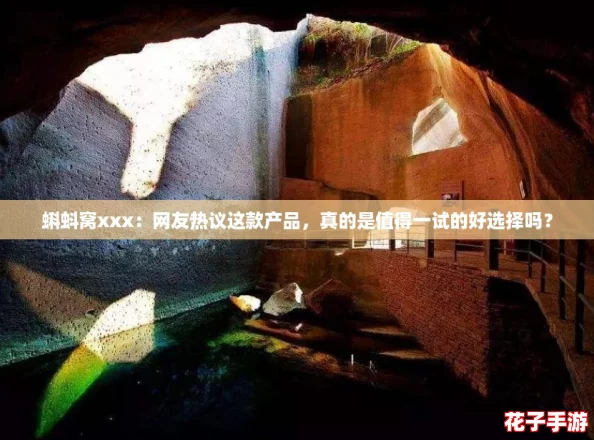 蝌蚪窝xxx：网友热议这款产品，真的是值得一试的好选择吗？